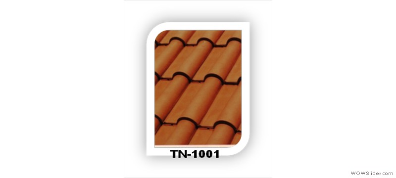 t1