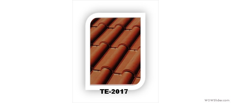 t10