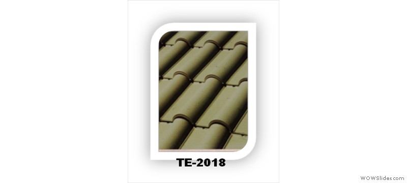 t11