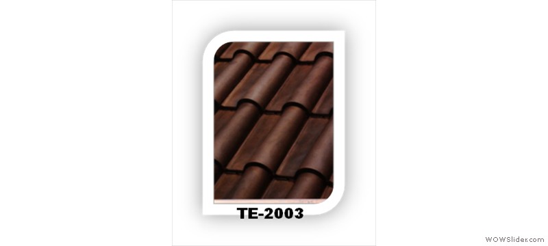 t2