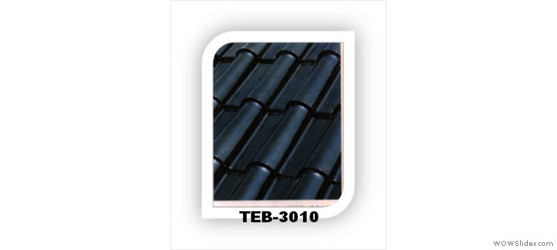 t20