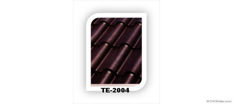 t3