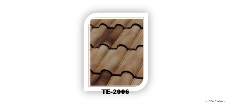 t31