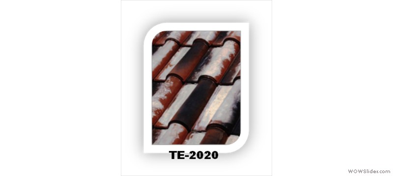 t36