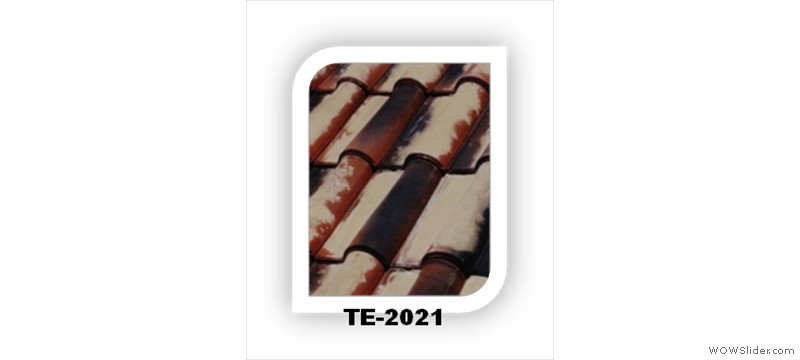 t37