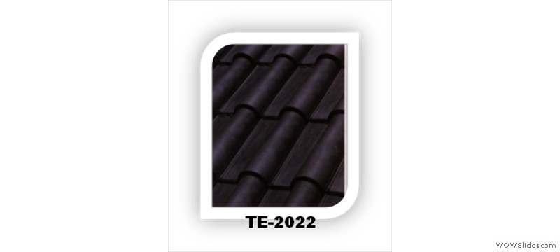 t38