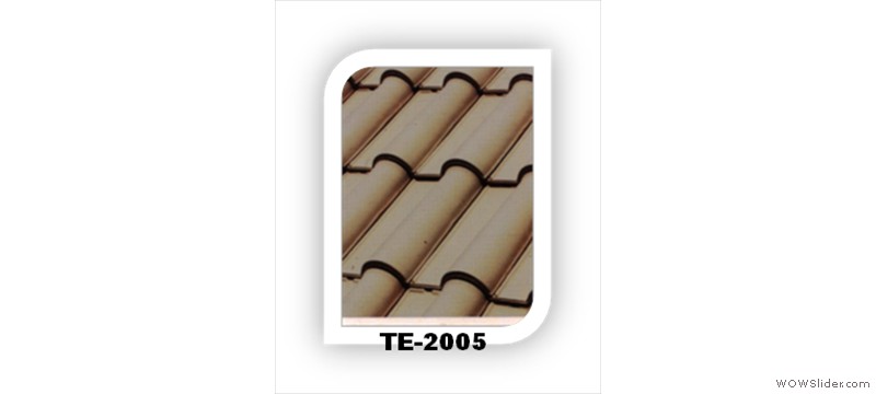 t4