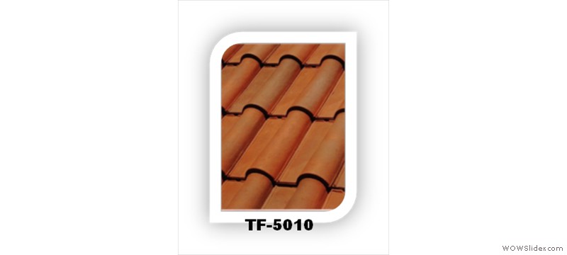 t41