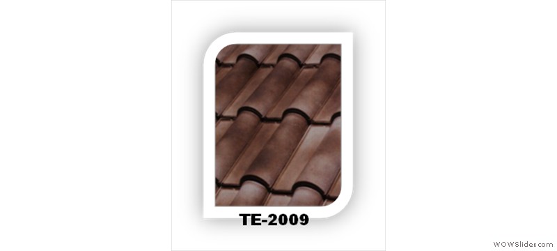 t6