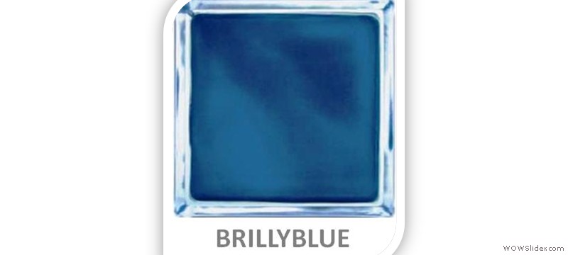b1